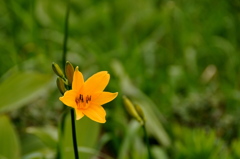 File_070