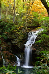 魚止めの滝