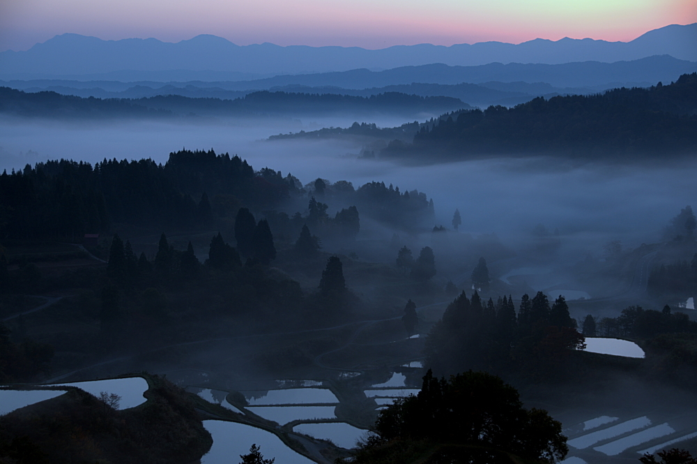 夜明けの棚田