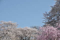 File_019