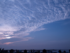 File_080