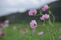 File_090