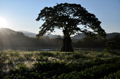File_072