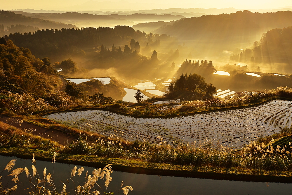 里山風景－Ⅳ