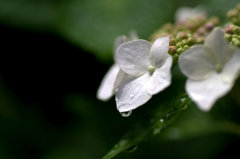 File_057