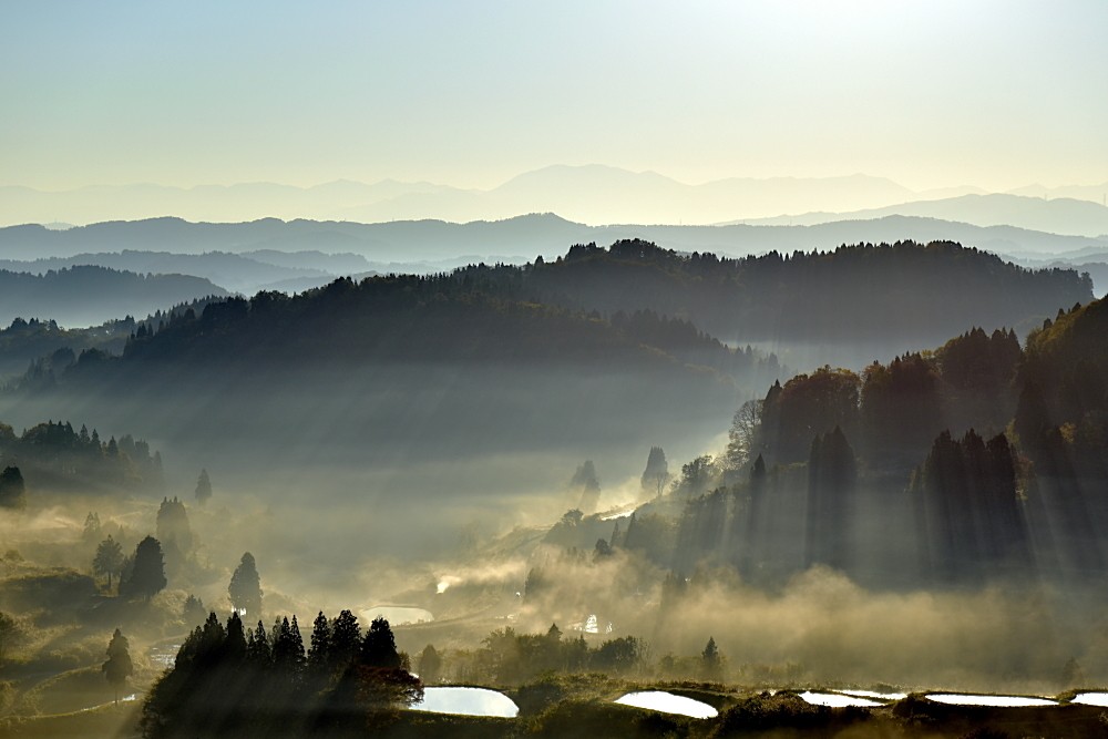 里山風景－Ⅴ