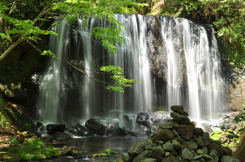 File_066