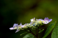 File_056