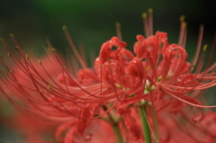 File_084