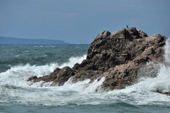 File_064