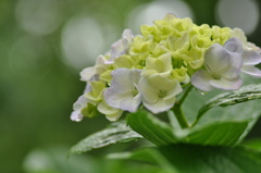 File_062