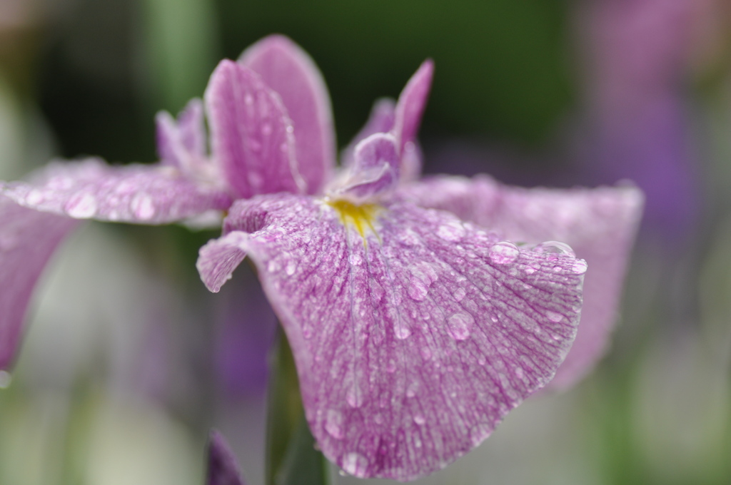 File_054