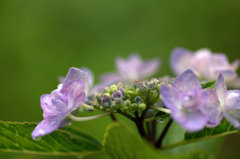 File_055