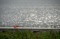 File_069