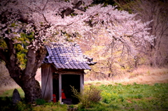 願い