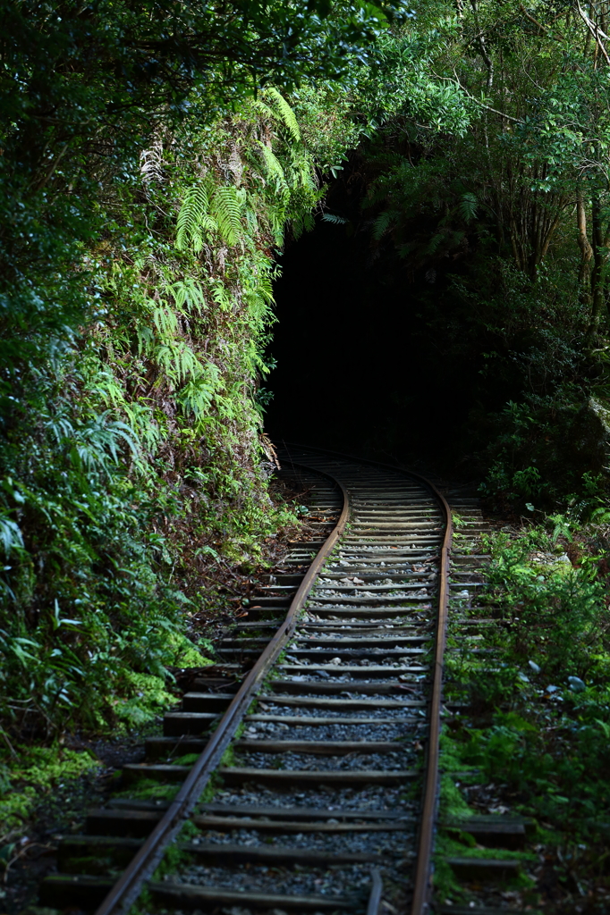 トンネル