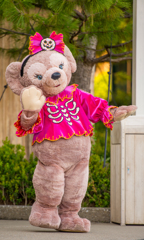 Tokyo Disney Sea