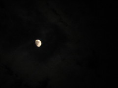 moon