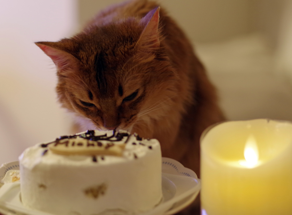 お誕生日２