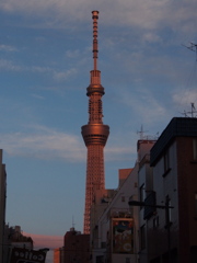 夕方のスカイツリー