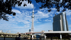 東京スカイツリー