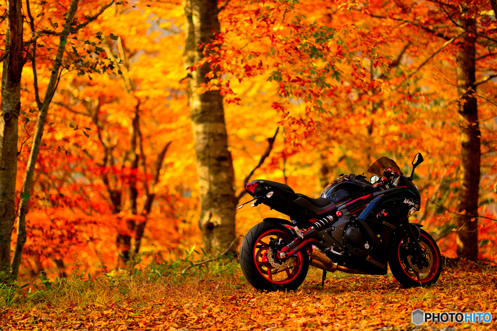 バイクのある風景「禾火」