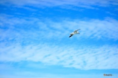 空色