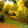 バイクのある風景「いすみ鉄道沿線浪漫」