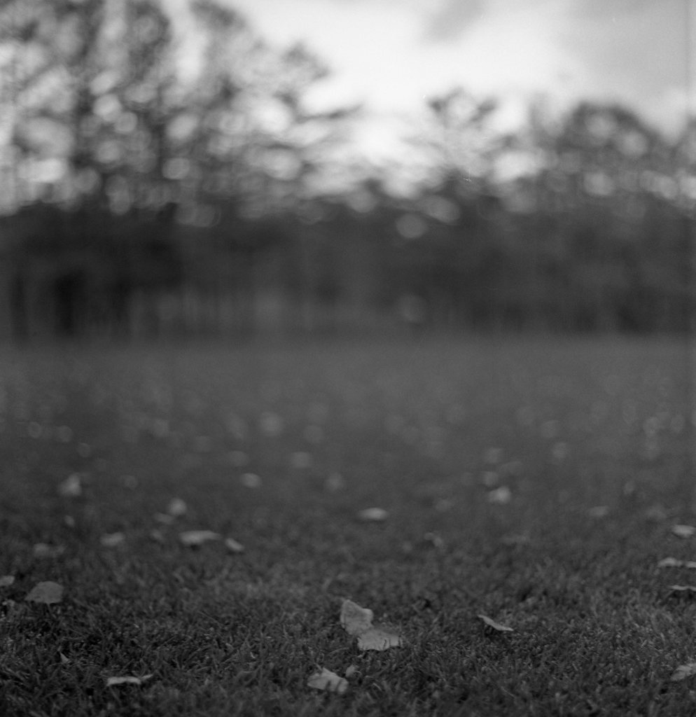 夕暮れ間近の公園