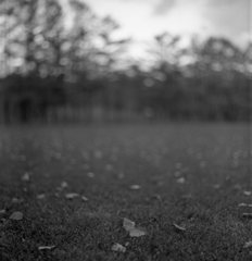 夕暮れ間近の公園