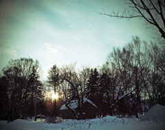 冬の緑が丘公園2