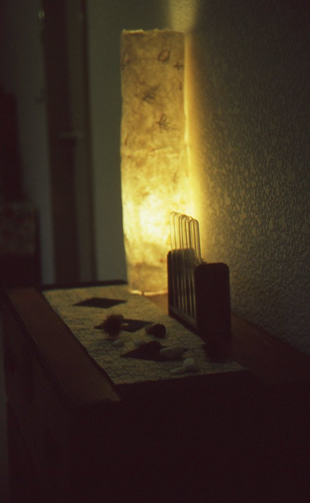 糠平温泉中村屋２