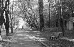 緑が丘公園にて