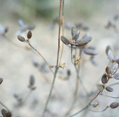 春は、何処まで4