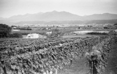 カンパーナ六花亭から望む