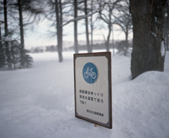 冬の緑が丘公園