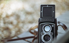 晩秋の公園にて