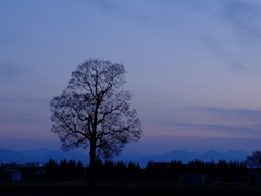 twilight１