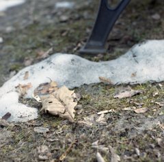 春は、何処まで1