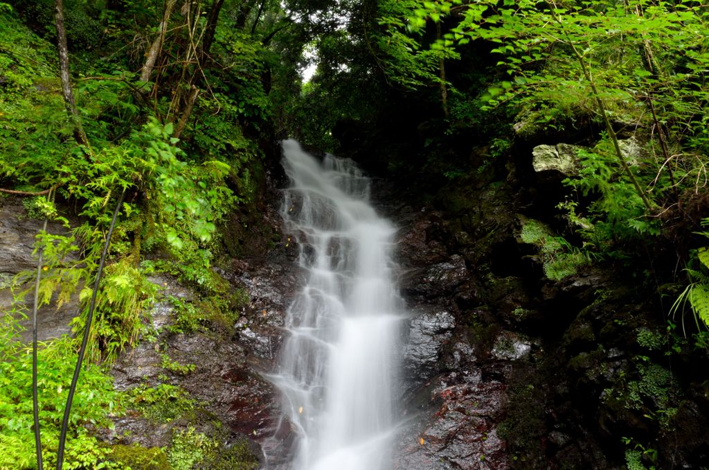 飛沫