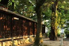 神社の裏手