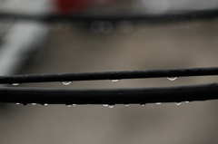 雨粒