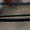 雨粒