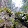 DSCF6740