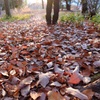 DSCF6143