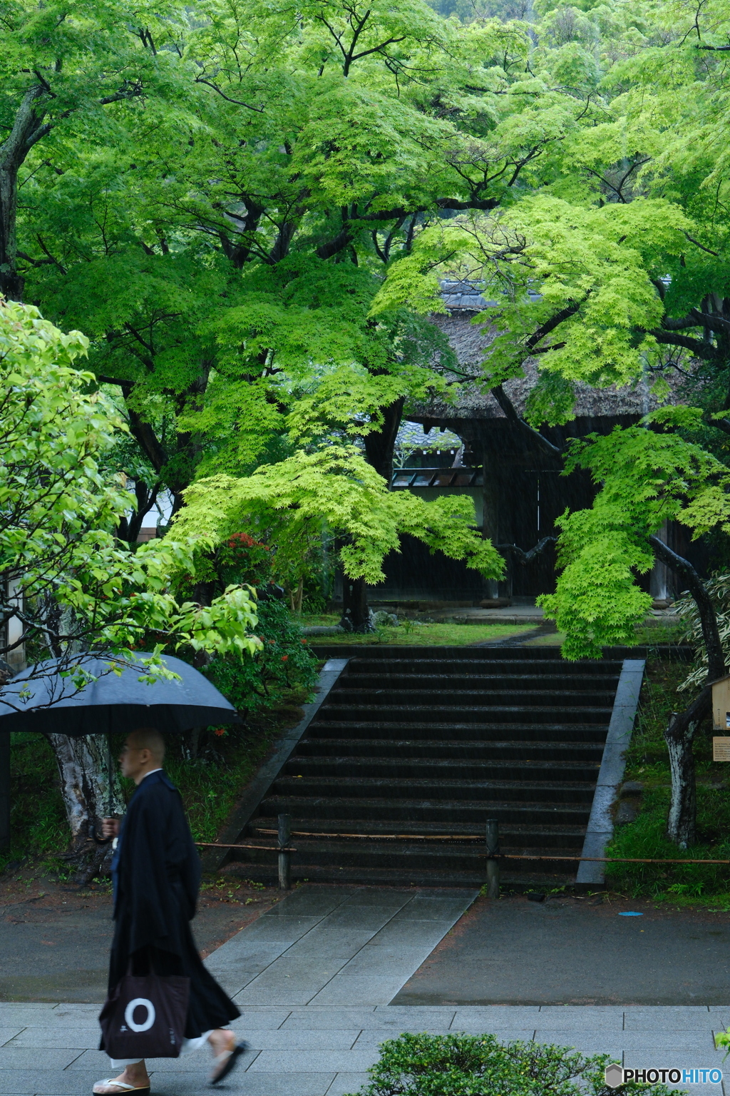 雨の北鎌倉