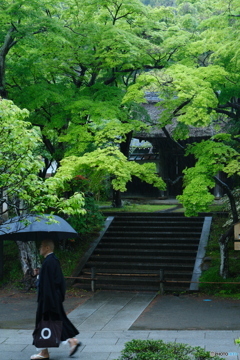 雨の北鎌倉