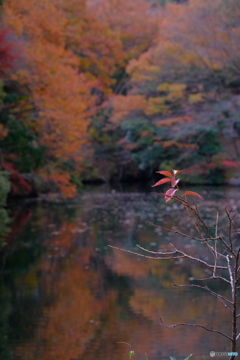 鎌倉湖