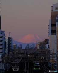 都心からの朝焼け