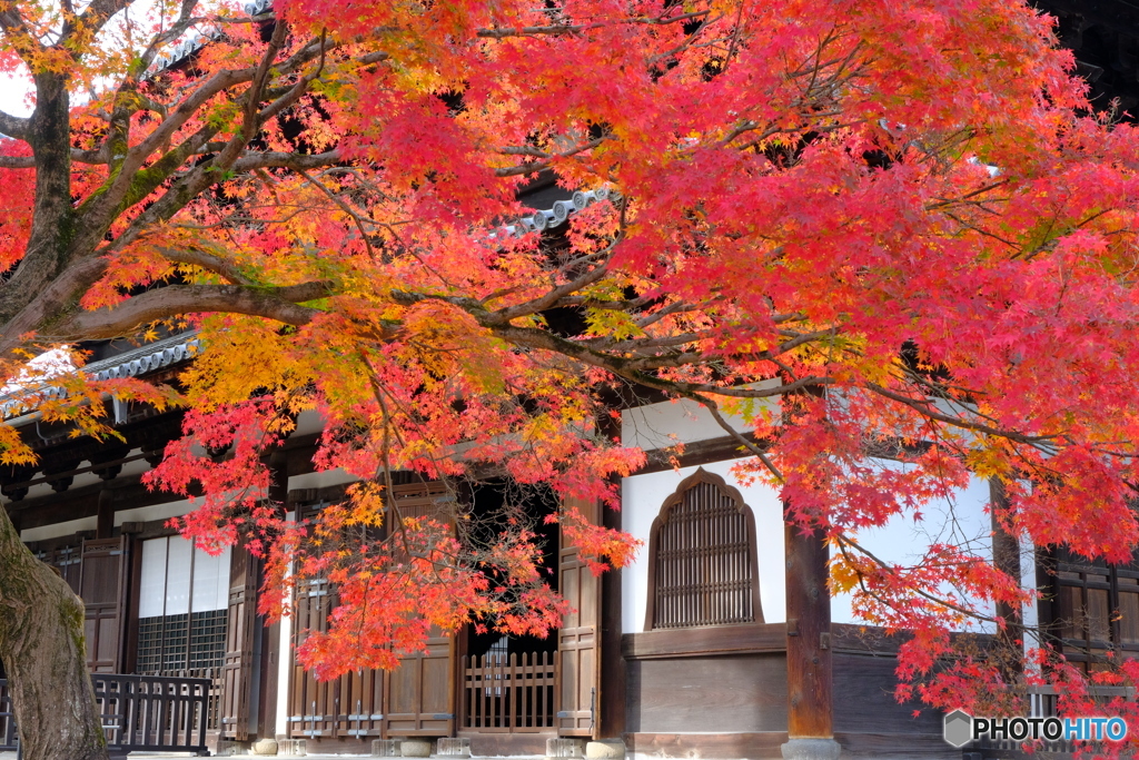 相国寺 法堂